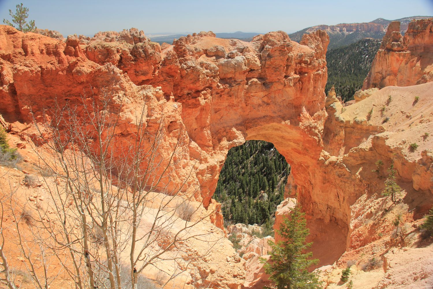 Natural Bridge 